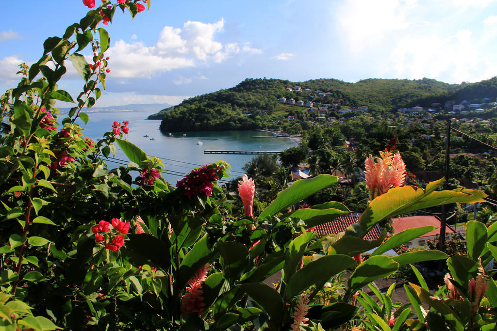 Le Panoramic Aparthotel Les Trois-Ilets Bilik gambar